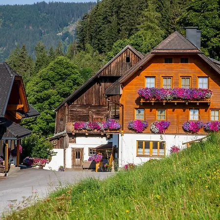 Bio-bauernhof Grundlehnerhof * Ramsau am Dachstein