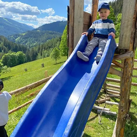 Landhaus Bio-bauernhof Grundlehnerhof Ramsau am Dachstein