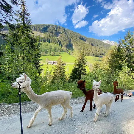 Country house Bio-bauernhof Grundlehnerhof Ramsau am Dachstein