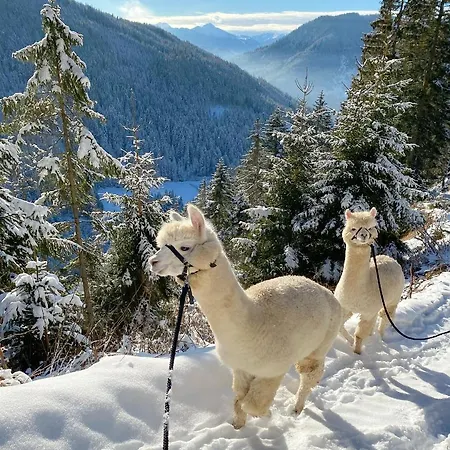 Bio-bauernhof Grundlehnerhof *