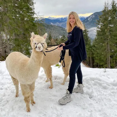 Bio-bauernhof Grundlehnerhof