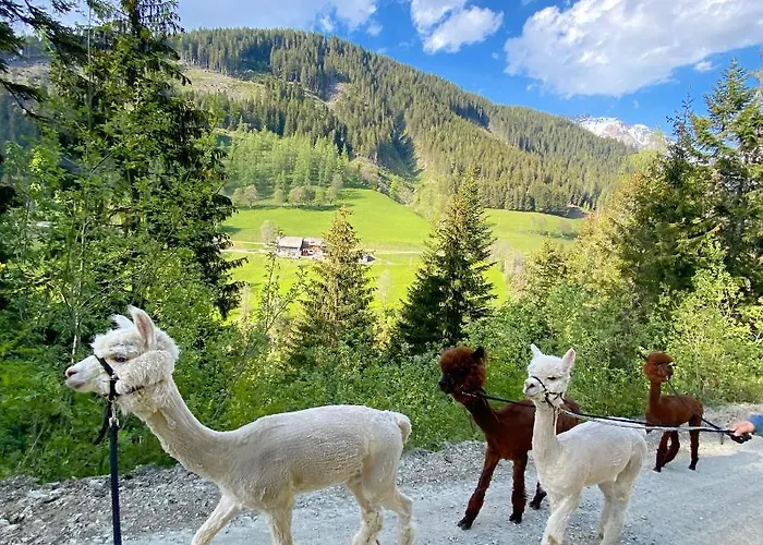 Country house Bio-bauernhof Grundlehnerhof Ramsau am Dachstein