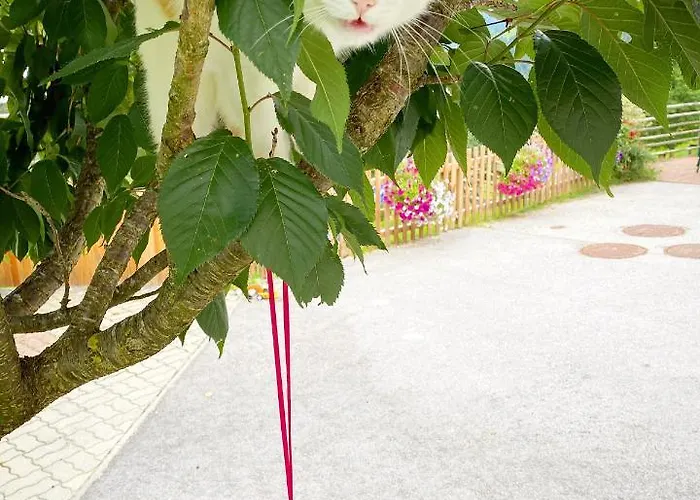 格朗德奈霍夫生物旅馆 *