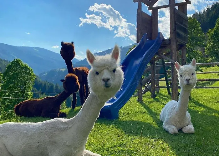 Landhuis Bio-bauernhof Grundlehnerhof *