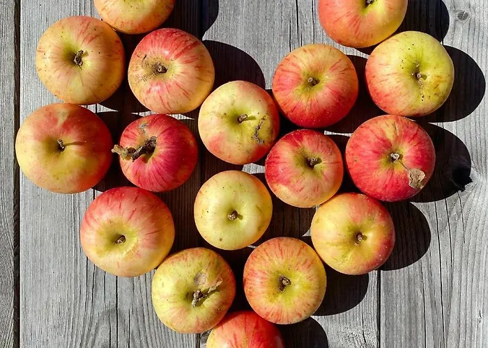 Bio-bauernhof Grundlehnerhof