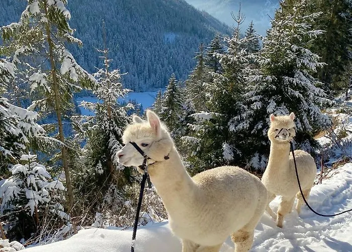 格朗德奈霍夫生物旅馆 *