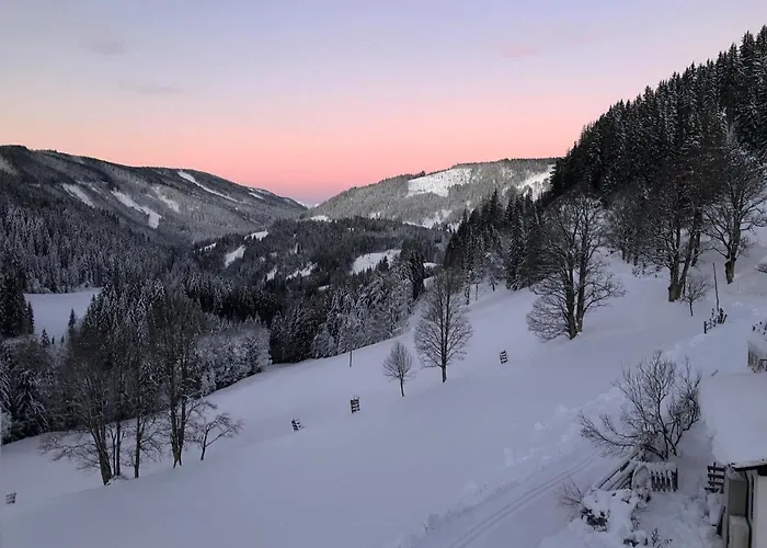 Bio-bauernhof Grundlehnerhof Ramsau am Dachstein