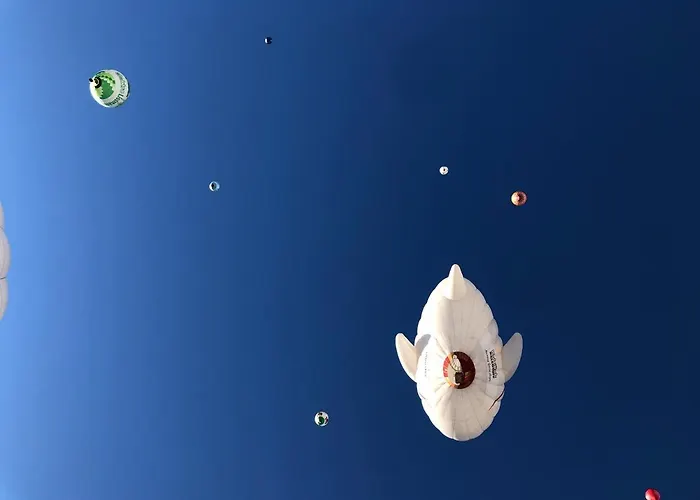 格朗德奈霍夫生物旅馆 *