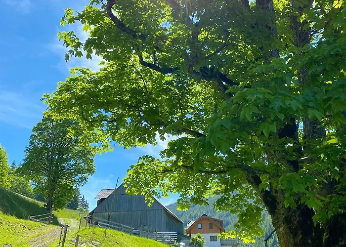 格朗德奈霍夫生物旅馆 乡村民宿 拉姆绍达赫斯坦