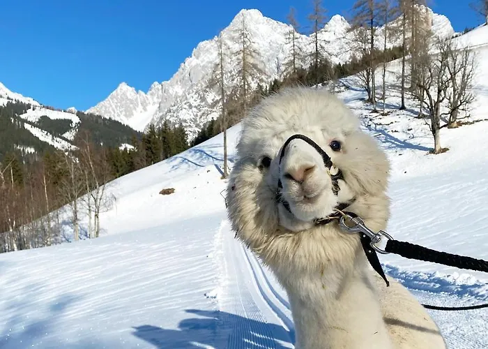 乡村民宿 格朗德奈霍夫生物旅馆 *