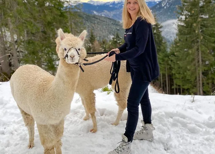 格朗德奈霍夫生物旅馆
